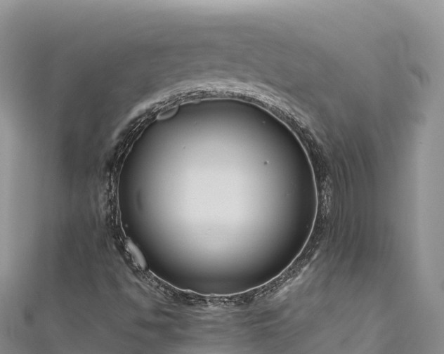 X0000111191494200907081245