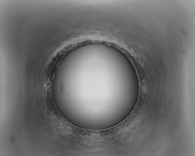 X0000111191495200907081245