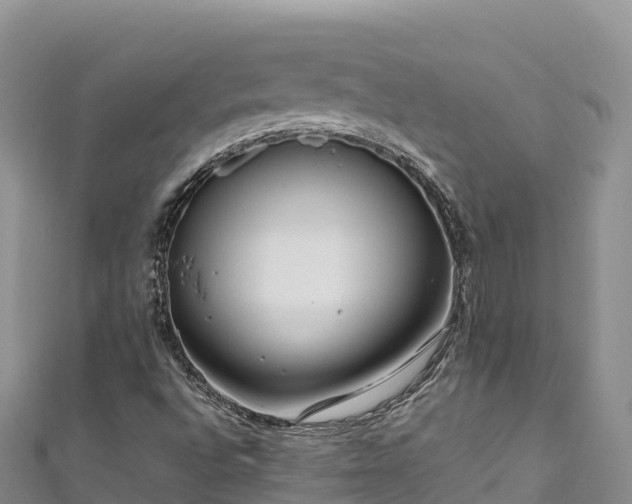 X0000111191496200907081245