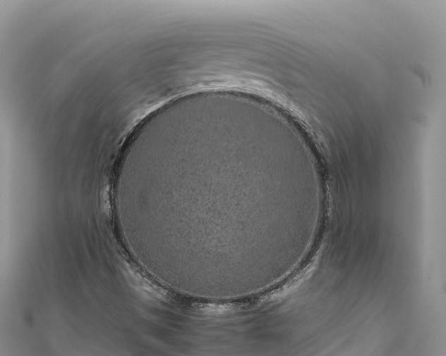 X0000111191497200907081245