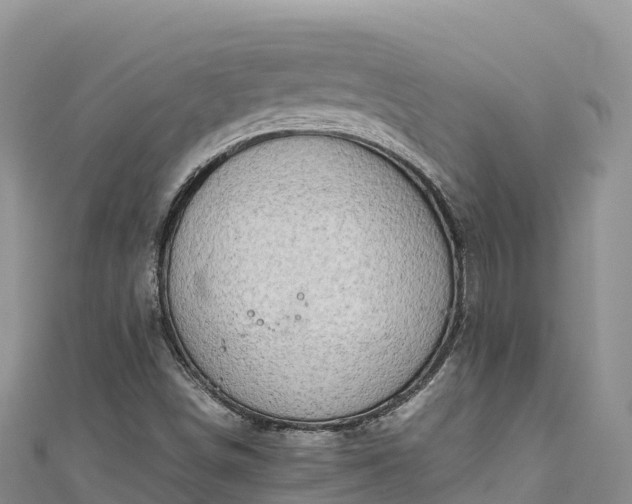 X0000111191498200907081245