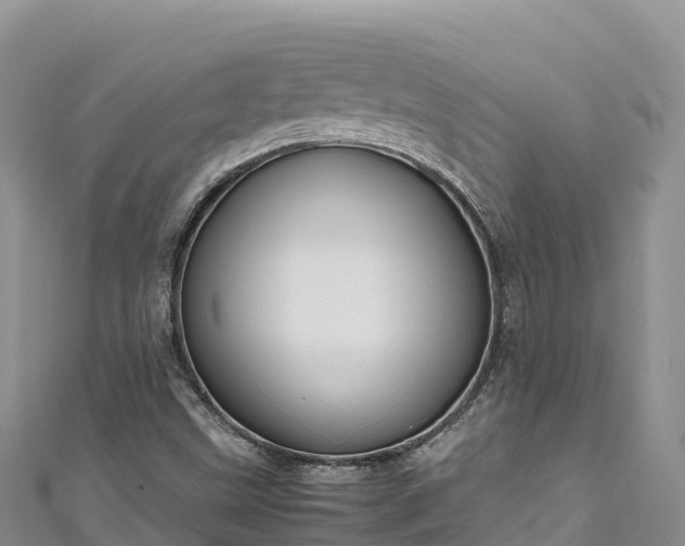 X0000111191499200907081245