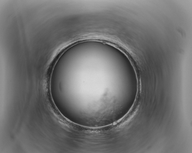 X0000111191501200907081245