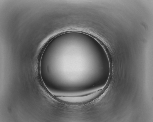 X0000111191502200907081245