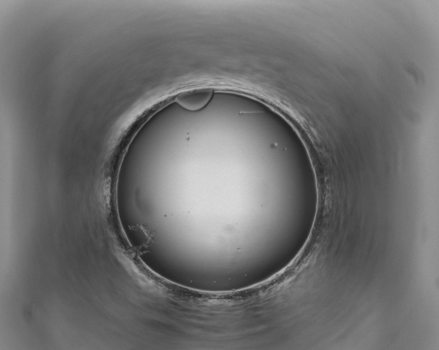 X0000111191503200907081245