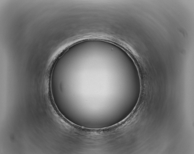 X0000111191504200907081245