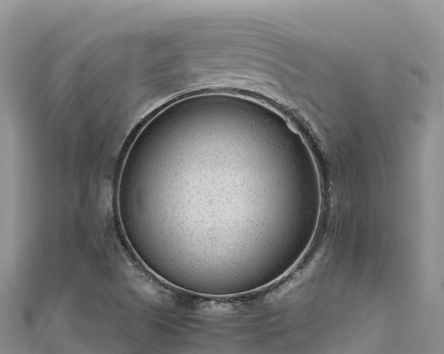 X0000111191505200907081245