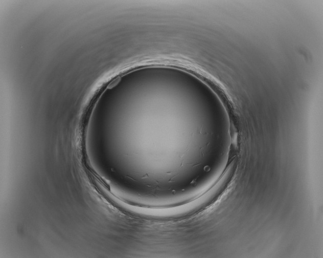 X0000111191506200907081245