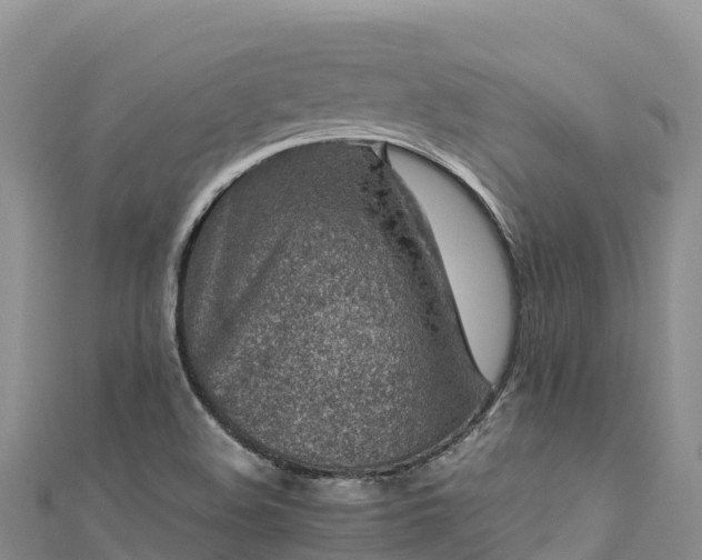 X0000111191508200907081245