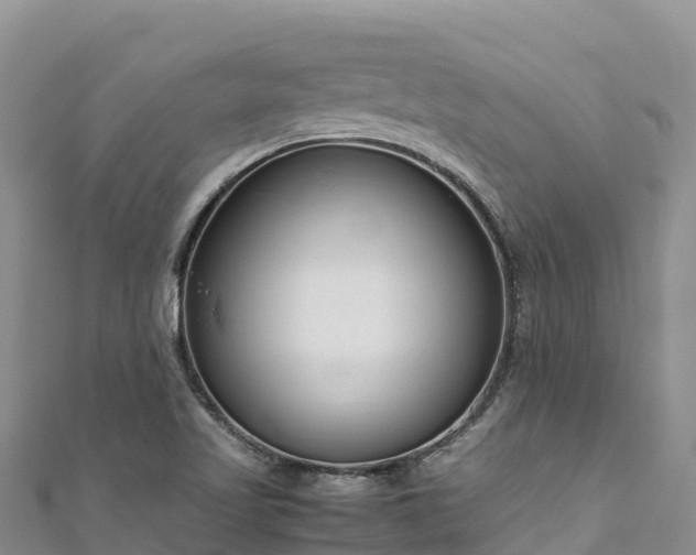 X0000111191509200907081245