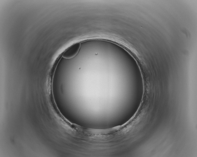 X0000111191510200907081245