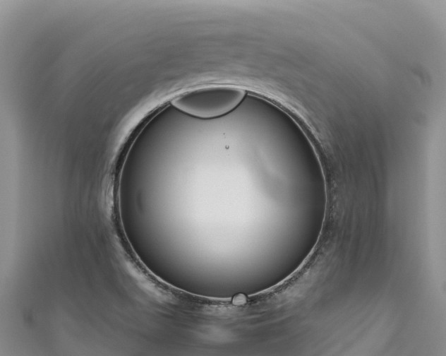 X0000111191511200907081245