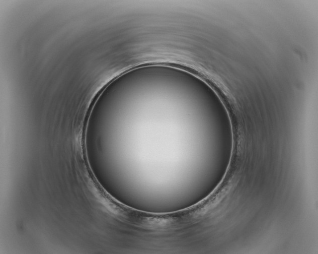 X0000111191513200907081245