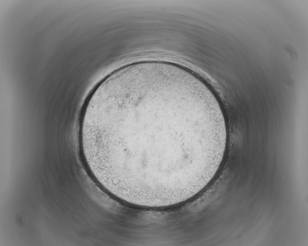 X0000111191514200907081245