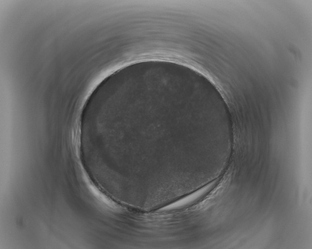 X0000111191515200907081245