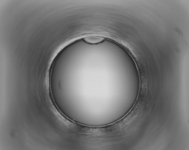 X0000111191516200907081245