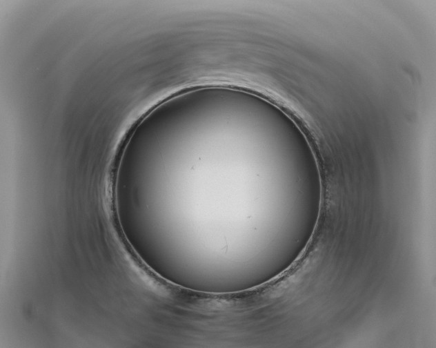 X0000111191517200907081245