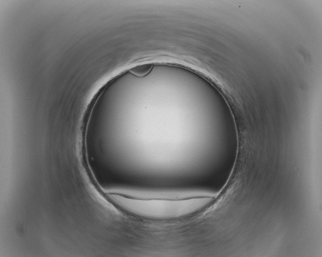 X0000111191518200907081245