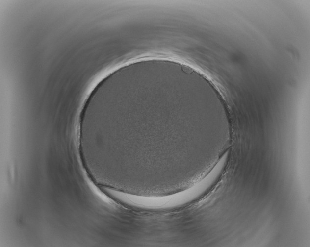 X0000111191519200907081245