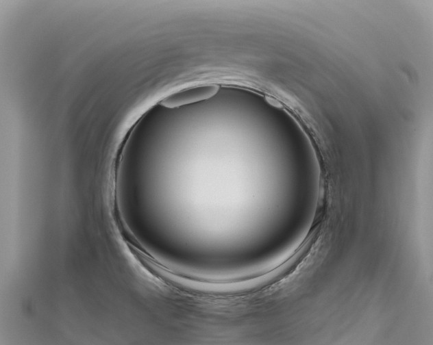 X0000111191520200907081245