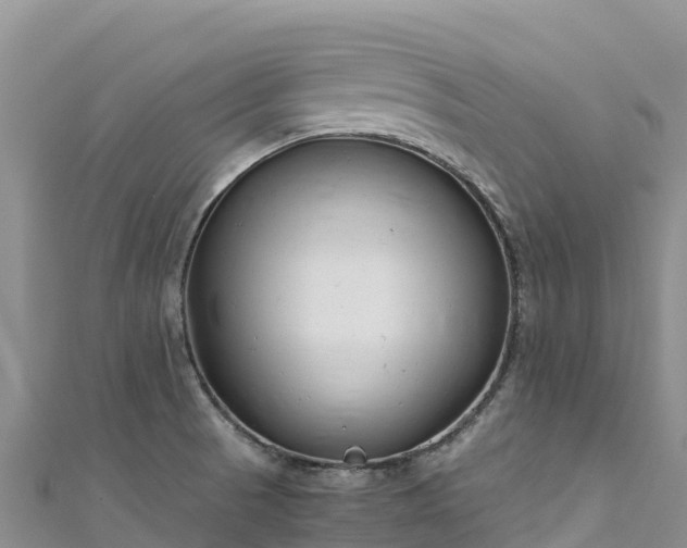 X0000111191521200907081245