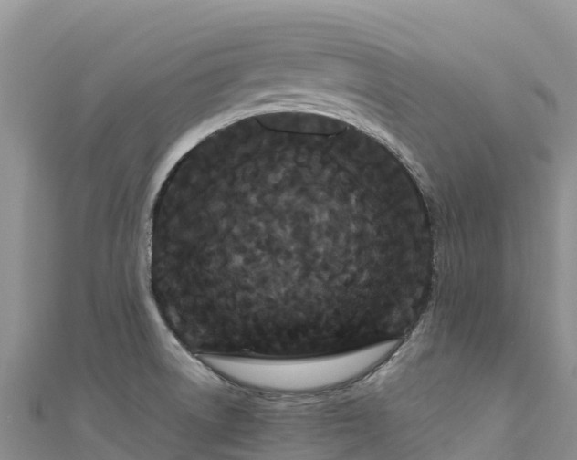 X0000111191522200907081246