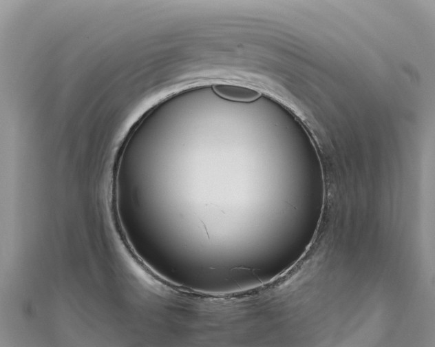 X0000111191523200907081246