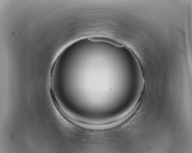 X0000111191524200907081246