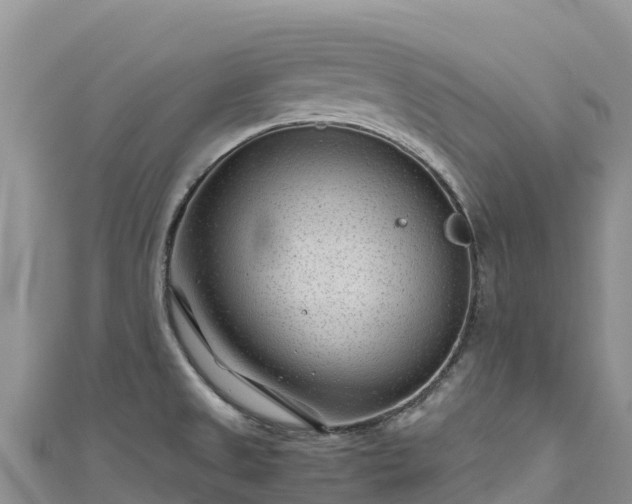 X0000111191525200907081246