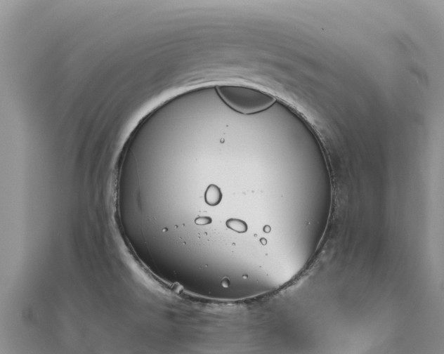 X0000111191526200907081246