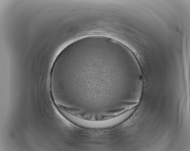 X0000111191527200907081246