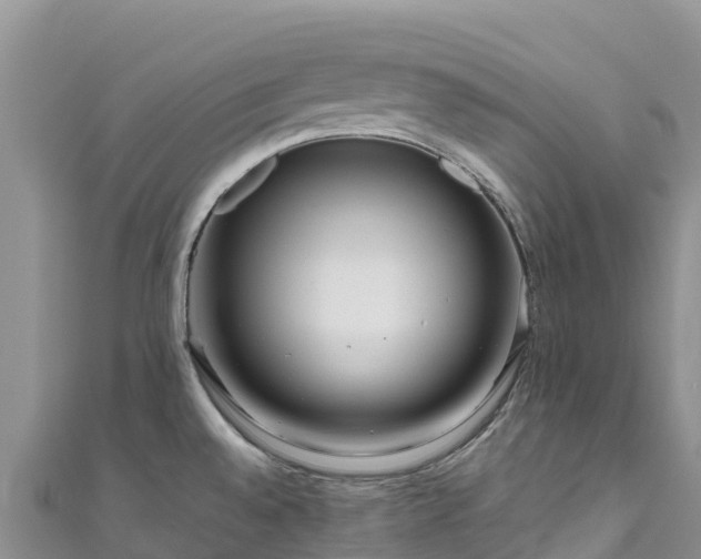 X0000111191528200907081246