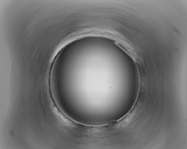 X0000111191530200907081246