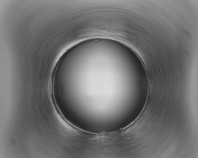 X0000111191531200907081246