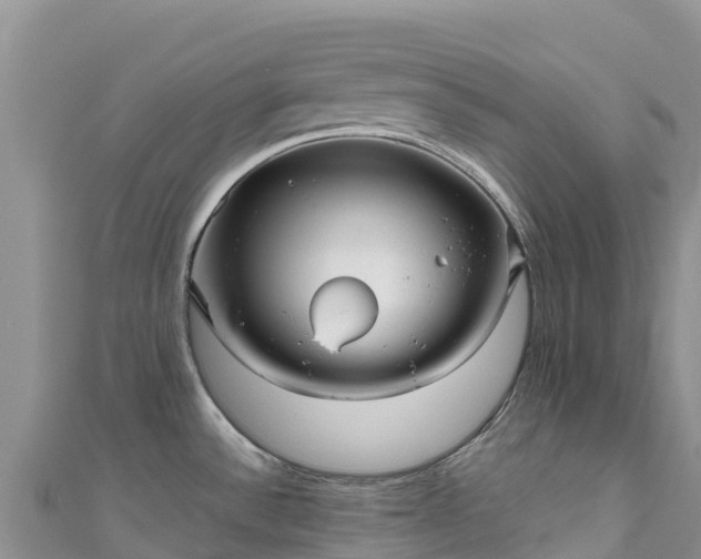 X0000111191532200907081246