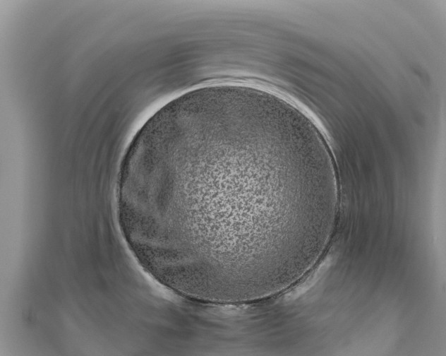 X0000111191533200907081246