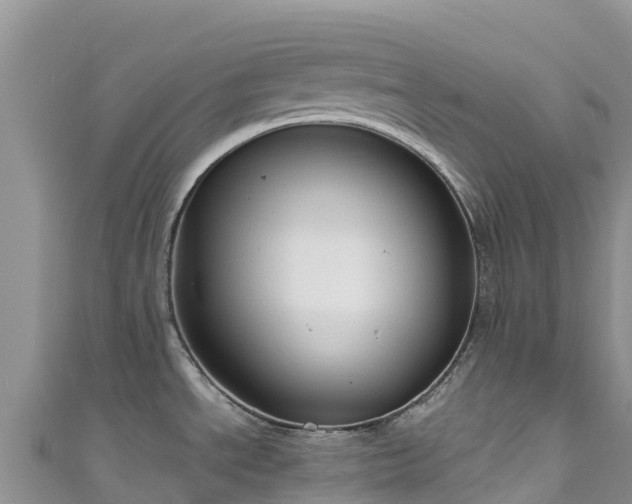 X0000111191534200907081246