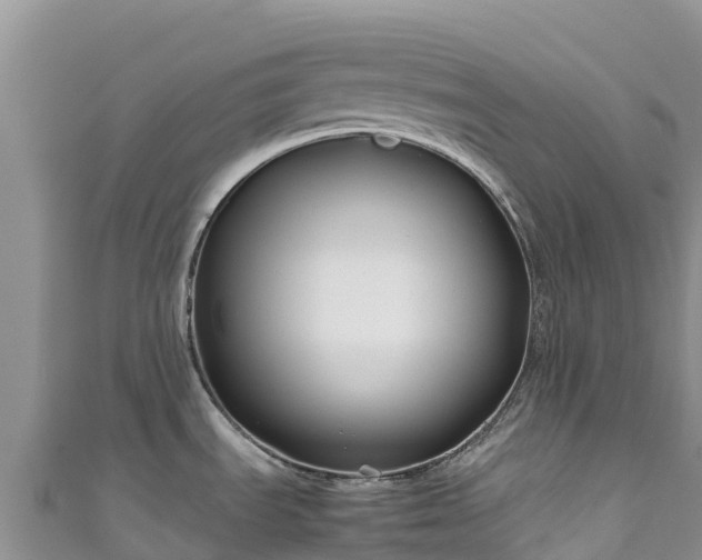 X0000111191535200907081246