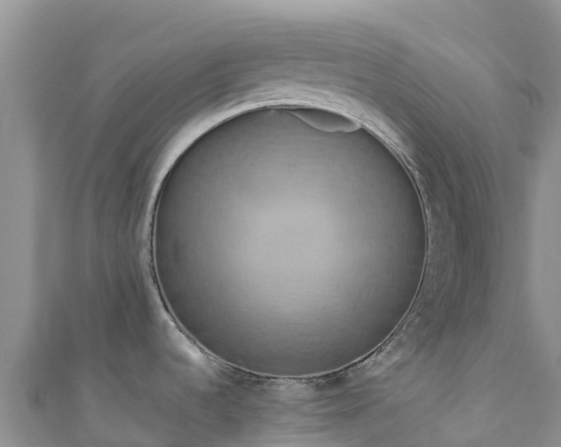 X0000111191536200907081246