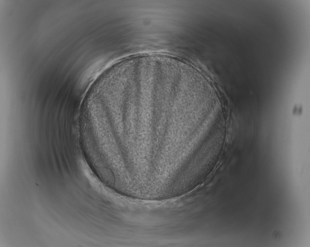 X0000111190002200907151400