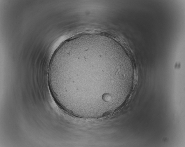 X0000111190003200907151400