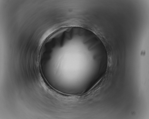 X0000111190004200907151400