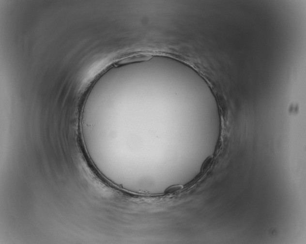 X0000111190005200907151400