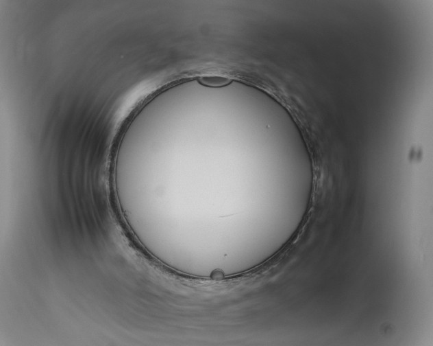 X0000111190006200907151400