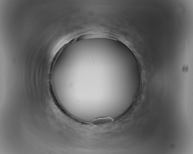 X0000111190007200907151400