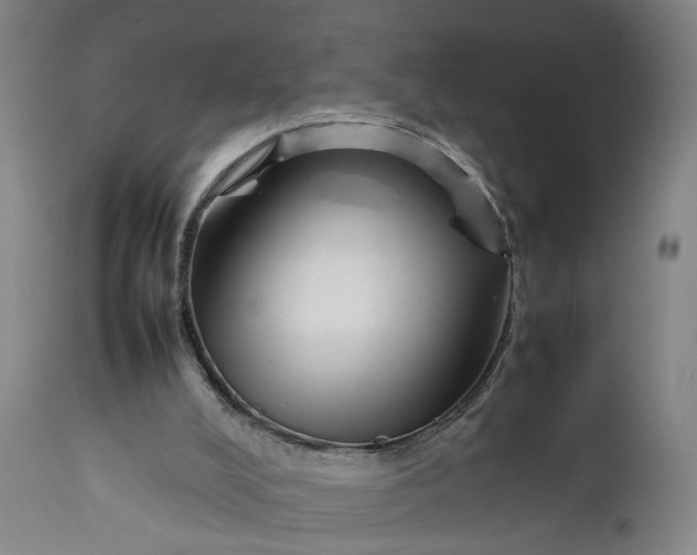 X0000111190008200907151400