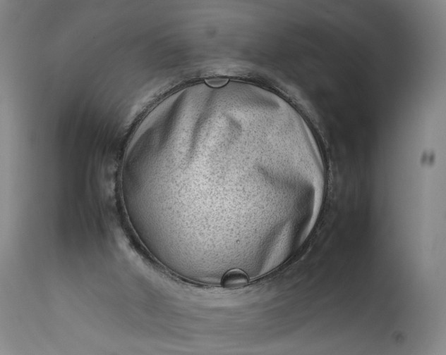 X0000111190010200907151400