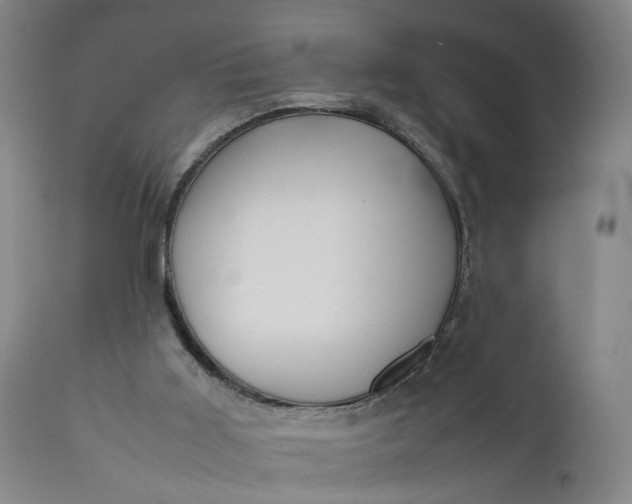 X0000111190011200907151400