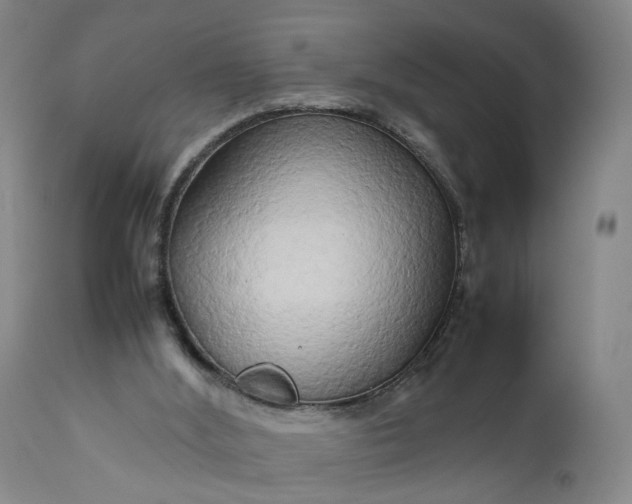 X0000111190012200907151400