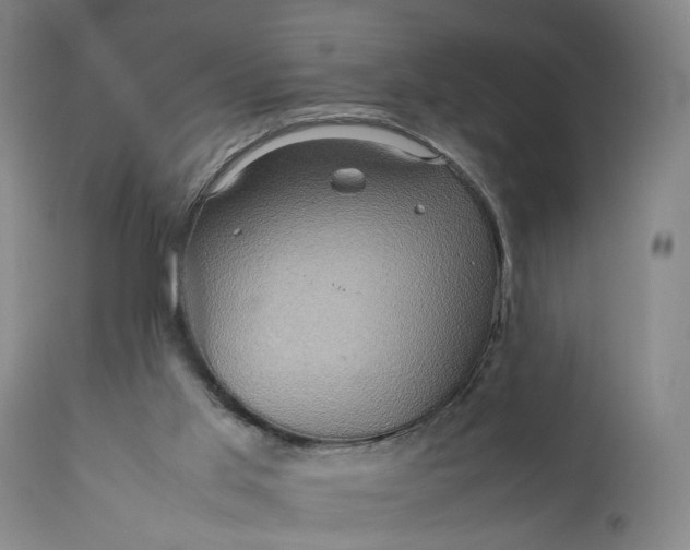 X0000111190013200907151400